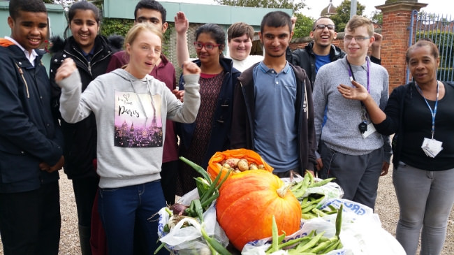 hallmoor students celebrate the harvest