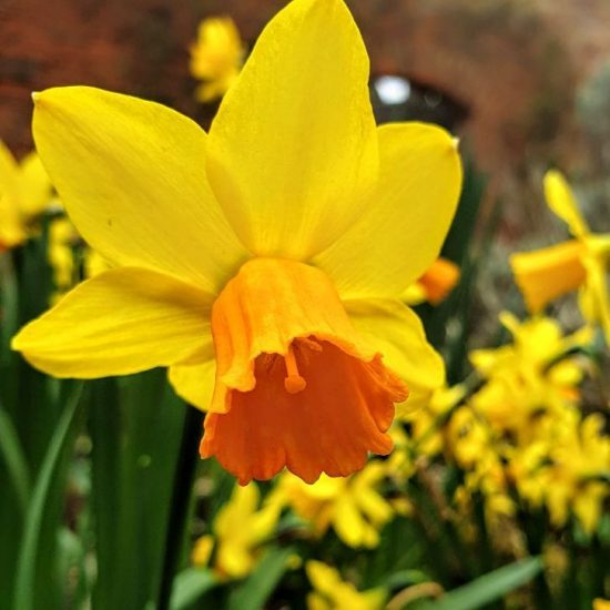 742fc21f-25df-4b07-9d63-9c5b581761ad