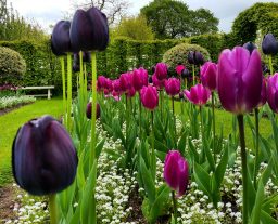 IMG_20170427_225559_300