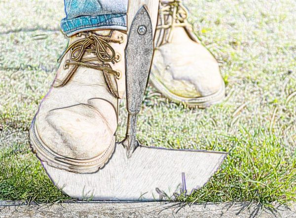 dewit halfmoon edger pictorialised