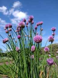 IMG_20200505_151358401