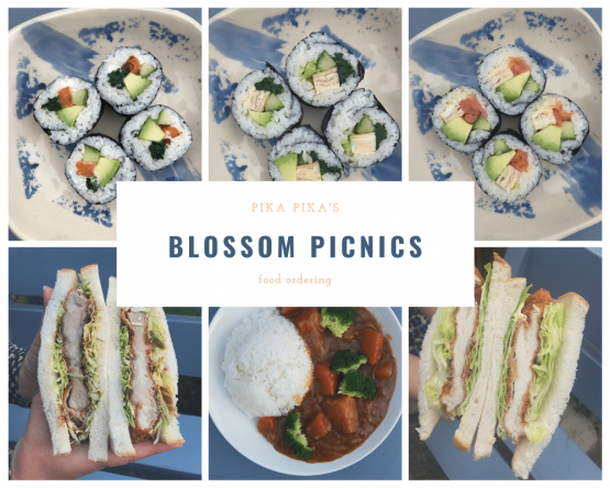 English Hanami blog picture