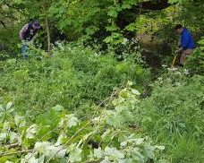 IMG_20210512_175846_763